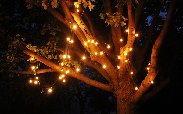 white outdoor lights hanging in a tree